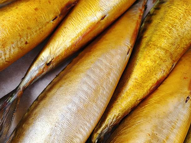 mackerel fish