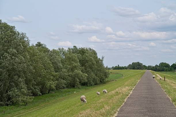 Photo of road going through farmland and countryside in late summer early autumn made by Medium Format camera