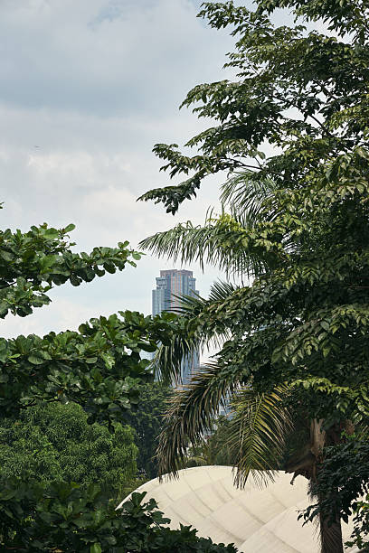 istock Tall Building Framed by Lush Green Foliage on a Cloudy Day 2218928633
