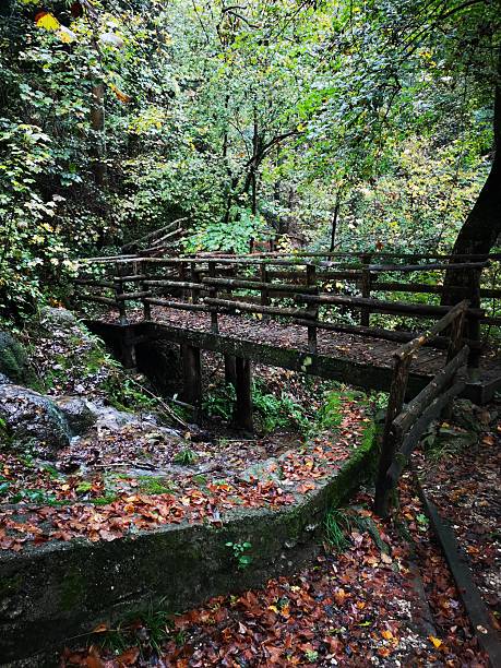istock Wooden bridge in the woods (Valganna) 2218932132