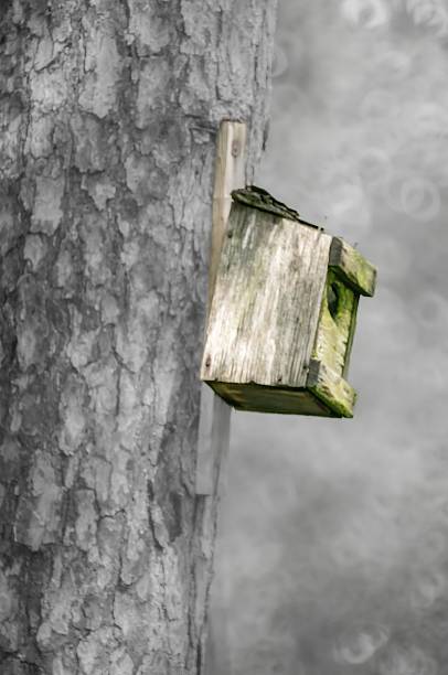 An old weathered wooden mailbox on a metal sliding door.