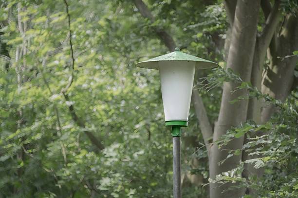 Green and white lamppost standing in a lush green forest during the day