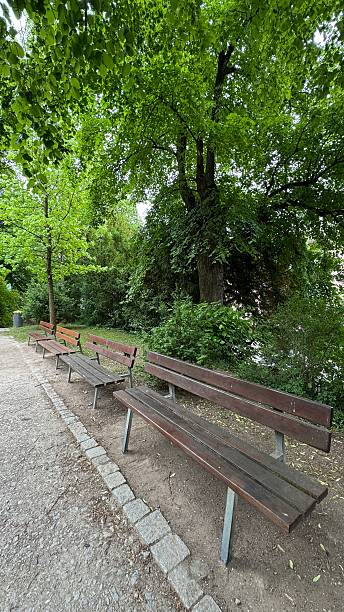 istock Public park Benches in a row 2218934777