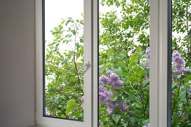 istock View through the window of blooming lilacs. 2218936875