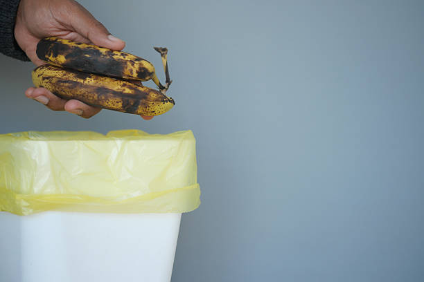 istock Hand holding ripe bananas over a trash bin ready for disposal 2218937589