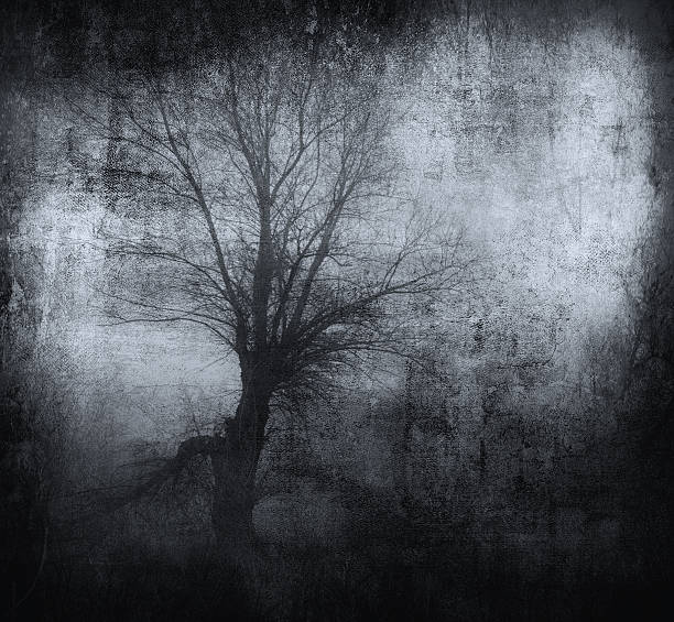 istock Dark grunge landscape showing spooky forest in winter 2218946288