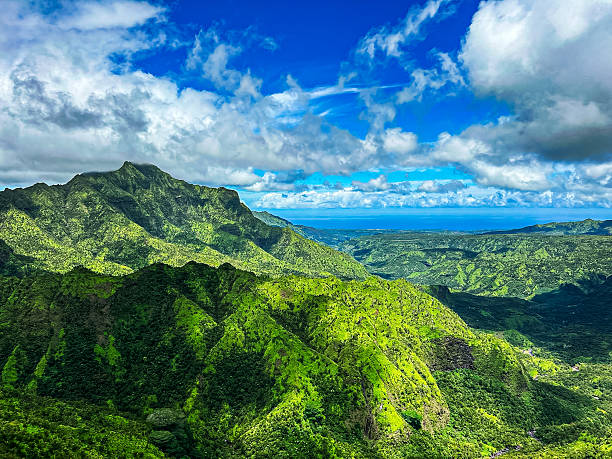 istock Kauai Waimea Canyon  from Helicopter 2218948028