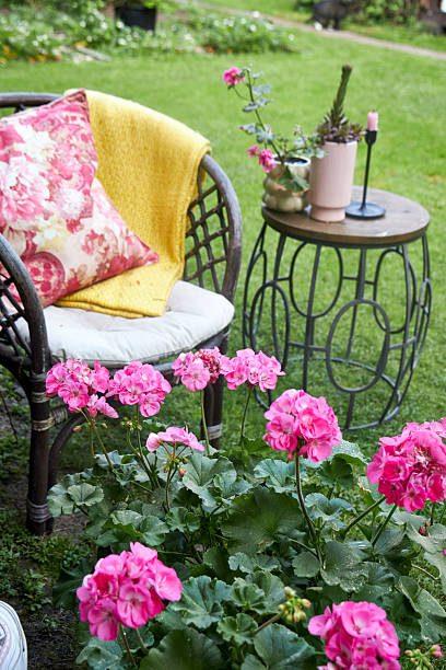 istock A charming garden nook featuring wicker chairs and tables surrounded by blooming annual flowers in soft pink hues. The scene evokes relaxation, outdoor comfort, and delicate floral beauty in a serene garden setting 2218949169