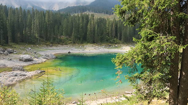 istock Serene Lago di Carezza in the Italian Alps 2218949595