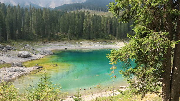 istock Serene Lago di Carezza in the Italian Alps 2218949596