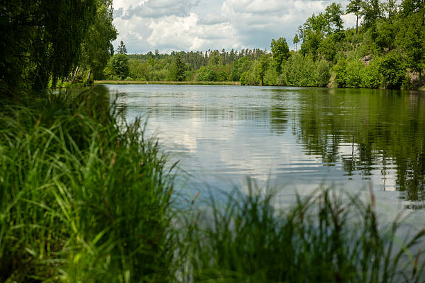 istock Forest lake in the Harz Mountains 2218950821