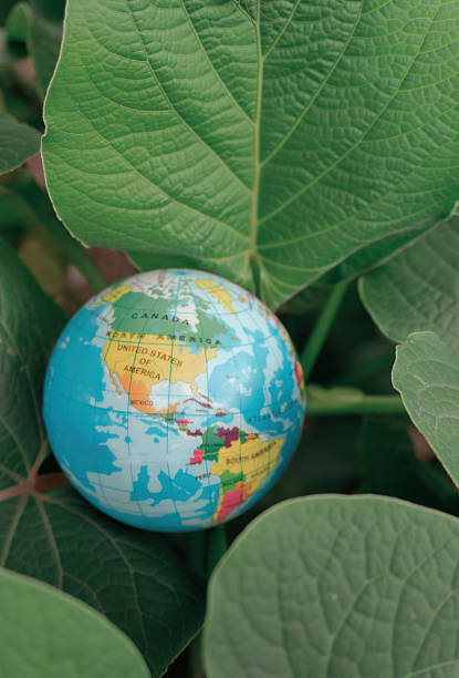 Small globe nestled among lush green leaves symbolizes the importance of environmental conservation and sustainability for our planet