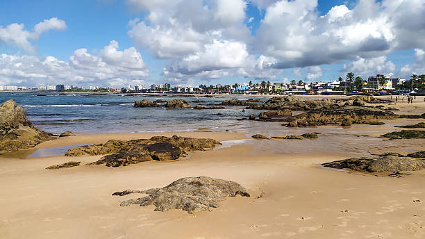 istock Tropical Bay in Salvador 2218960369
