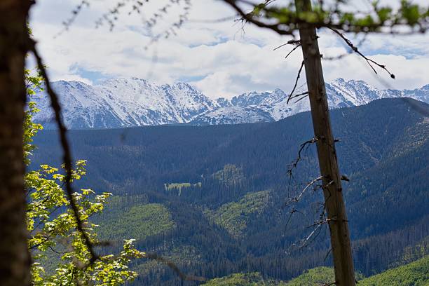 istock A hazy mountain range with snow-capped peaks 2218963538