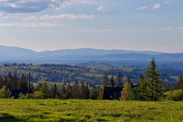 istock A scenic landscape features a lush green meadow leading to a dense forest 2218963672