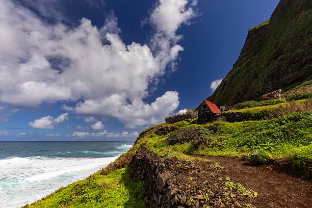 istock Coastal landscape with cliffs, beach, and ocean under a cloudy sky, Achadas da Cruz, Madeira 2218963952