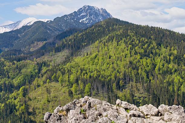 istock A majestic mountain peak rises above a lush green forest 2218964114