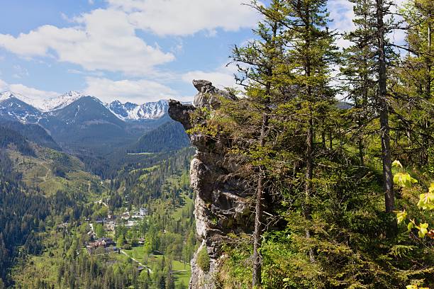 istock A scenic view shows lush greenery, a rugged cliff 2218964277