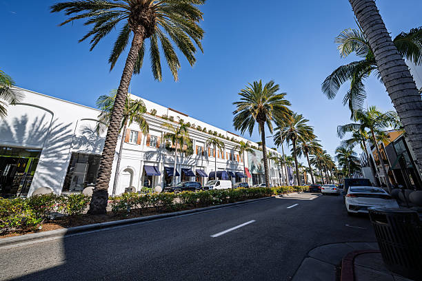 istock Palm-Lined Rodeo Drive in Beverly Hills, Los Angeles 2218968780