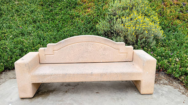 istock Park Bench with Ice Plant and Bladderpod behind it 2218969132