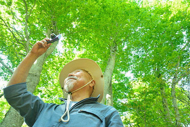 Smiling old man taking pictures of a beech forest with a digital camera