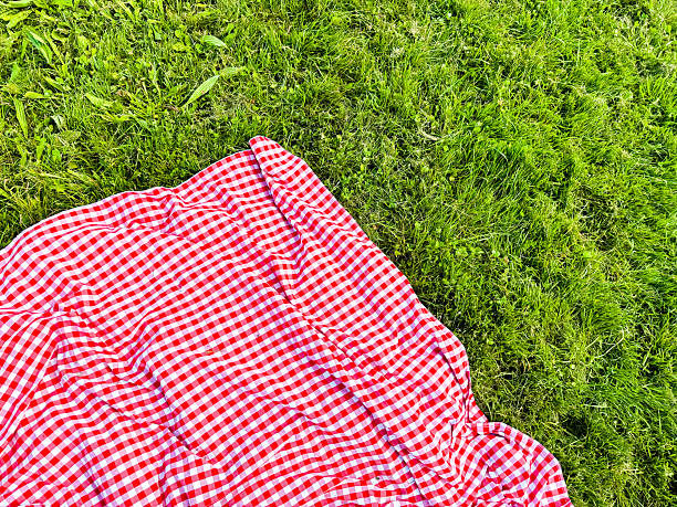 istock Red and white checkered picnic blanket on green grass in a park 2218969996