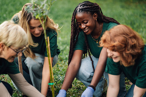 istock Volunteers planting a young tree in a park 2218970908