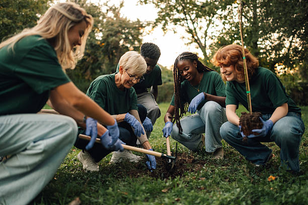 istock Volunteers planting a young tree in a park 2218971053