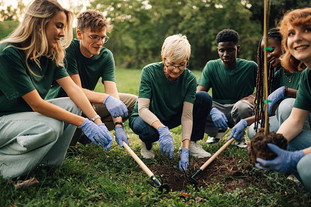 istock Volunteers planting a new tree in the park 2218971054