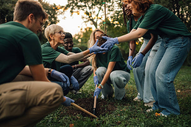 istock Volunteers planting a tree sapling in the park during a community cleanup event 2218971056