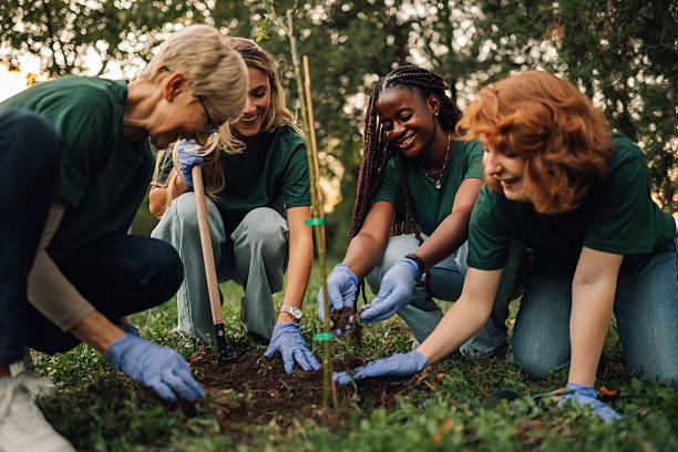 istock Volunteers planting a young tree in a park during a reforestation project 2218971069