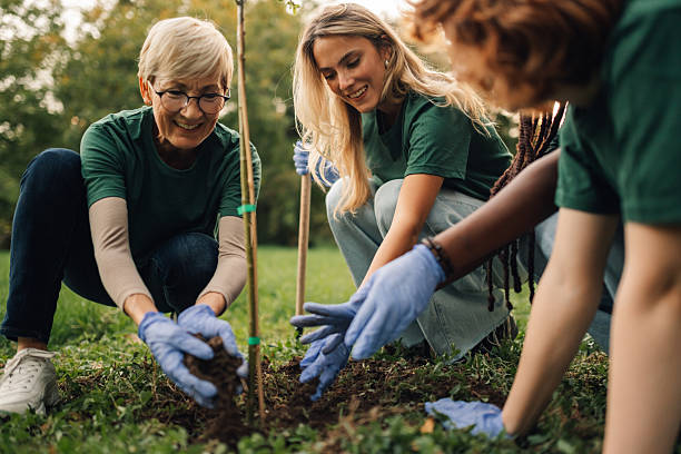 istock Volunteers planting a young tree in a park 2218971070