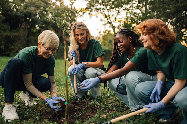 istock Volunteers planting a young tree in a park during a community service event 2218971076