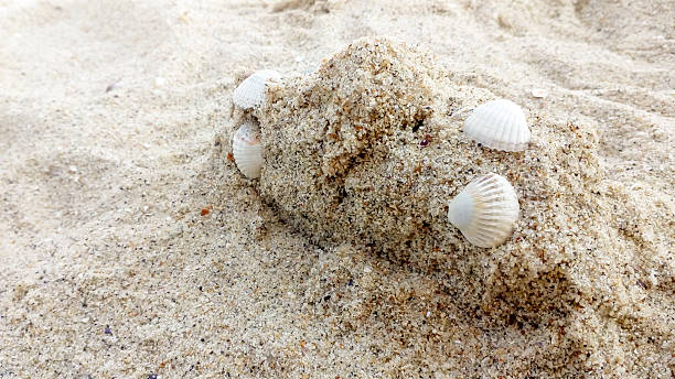 Serene beach scene featuring white seashells partially buried in a mound of fine sand. Evokes tranquility and seaside relaxation. Ideal for travel or summer themed content.