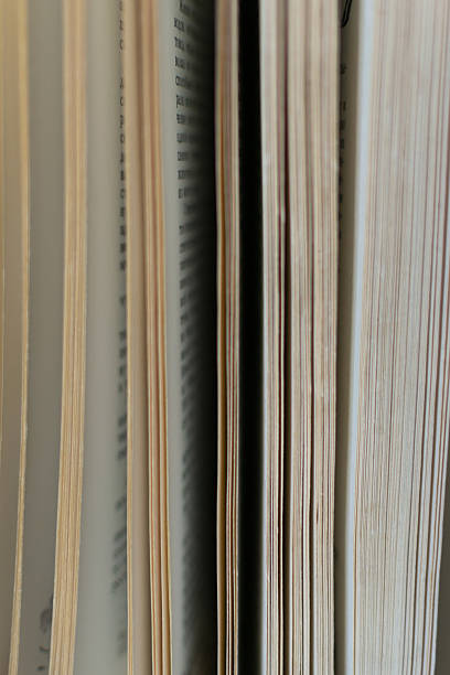 istock Macro shot of open book pages, suggesting knowledge, learning, and stories. Ideal for education, literature, and intellectual themes. Soft light, intimate view. 2218979048