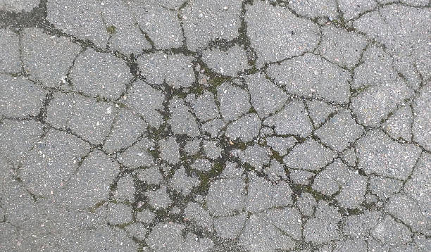 Cracked asphalt texture with mossy accents. A visual metaphor for fragility, decay, or resilience. Great for backgrounds, designs, or conveying age and wear.