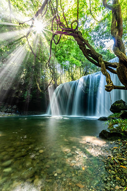istock Sunlight Filtering Through at Nabegataki Waterfall, Kumamoto, Japan 2218989891