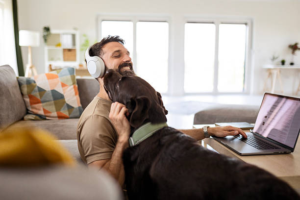 istock Dog Companion and Focused Workflow 2218998125
