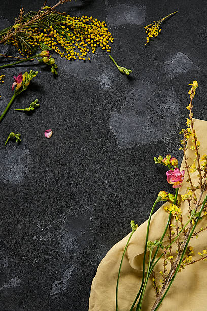 istock Mimosa flower composition with mixed blossoms, moody lighting, contemporary textured flat lay 2218998251