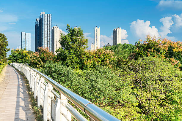 walkway in the modern city