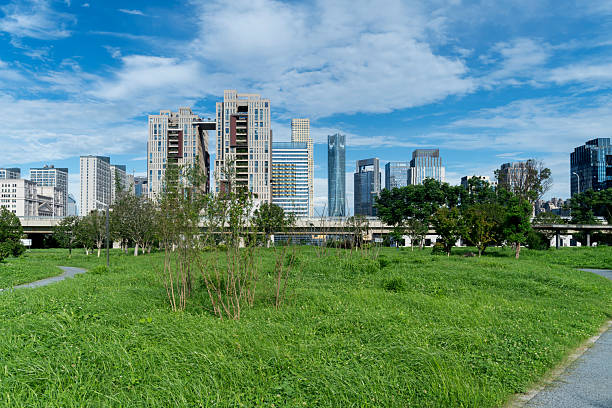 istock city park with modern building background in shanghai 2219001985