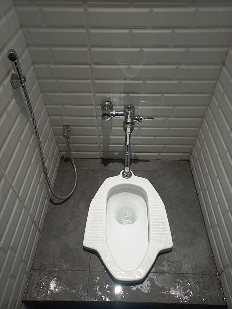 istock Squat toilet with a modern concept 2219004977