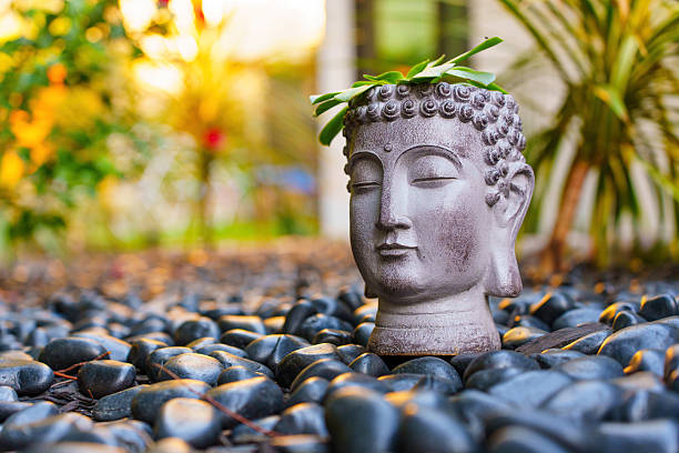 Los Angeles, California - December 7, 2024: pot resting on black pebbles, capturing warm evening light and tranquility.
