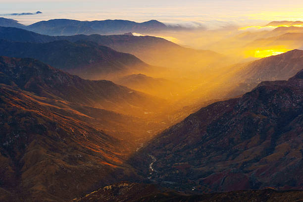 White Mountains, Inyo National Forest, California.