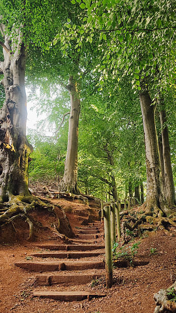 Clent Hills national trust