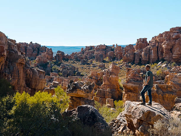 istock Hiker exploring sandstone formations in Cederberg Wilderness on clear sunny day 2219009361