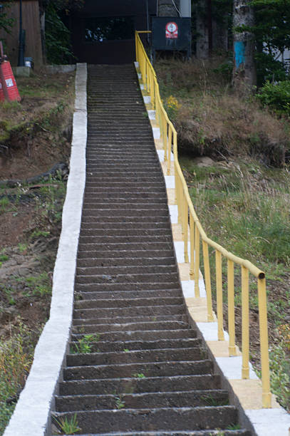 stairs or stairecase for walking up and down by foot