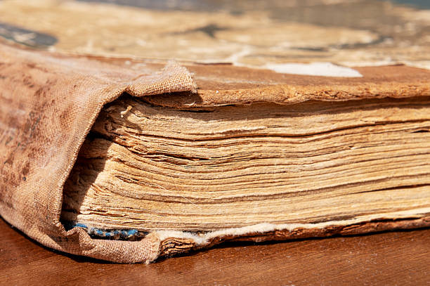 istock Old book close up. Vintage book. Weathered book with warm lighting. 2219012413