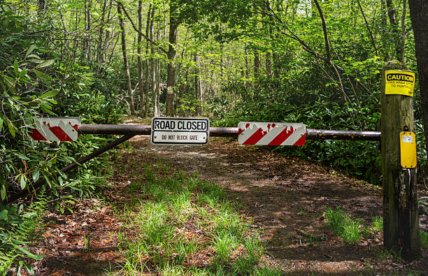 A road closure barrier blocks access to a forest trail during spring season. The metal barrier displays a 'ROAD CLOSED' sign with red and white striped warning panels on either side. A yellow caution sign is posted on a wooden post to the right. The dirt path leads into dense green forest with lush spring foliage and ferns growing along the sides. Fallen leaves cover portions of the blocked trail surface.