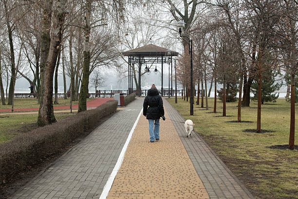 Man walking with a Borzoi dog in a park on a clear day. The tall, elegant Borzoi walks gracefully on a leash beside the man, showcasing the breed’s refined posture and long, flowing coat. Surrounded by greenery and natural light, the scene captures a moment of peaceful outdoor activity and the strong bond between human and dog. Ideal for concepts such as dog walking, healthy lifestyle, companionship, pet care, and outdoor leisure.